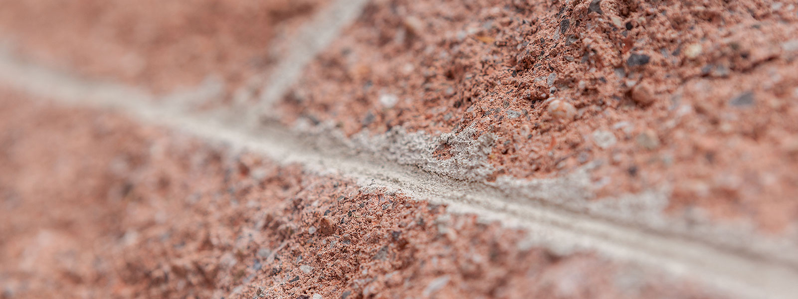 Esperienza, competenza, professionalità